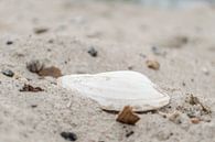 Weiße Schale von Melvin Fotografie Miniaturansicht