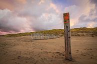 Duin en strand aan de kust van Nederland van Dirk van Egmond thumbnail