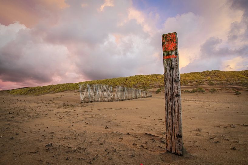 Dunes and beach on the coast of the Netherlands by Dirk van Egmond