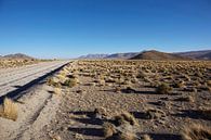 Onverharde weg door de Farallon de Tara woestijn in Bolivia van Tjeerd Kruse thumbnail