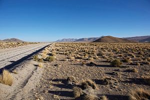 Onverharde weg door de Farallon de Tara woestijn in Bolivia