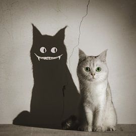 Cute Cat Scary Shadow by Terry F