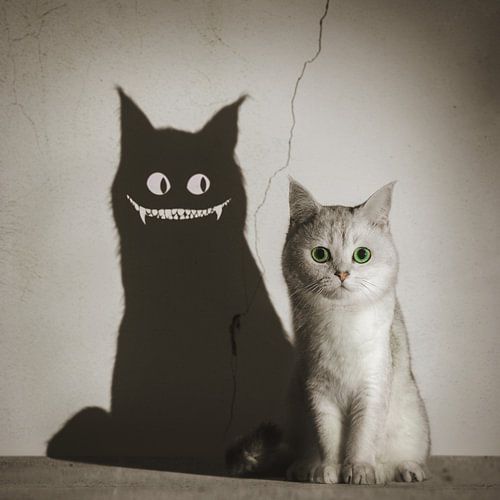 Cute Cat Scary Shadow