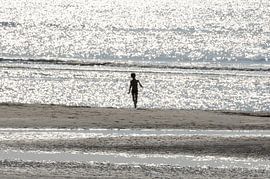 zee en zon van Leo Hermans