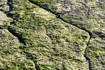 Nahaufnahme einer grünen, rauen Felsstruktur am Strand von Estoril, P