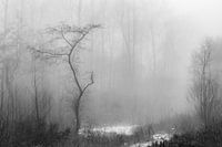 mystieke landschap