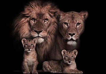 leeuwen gezin met welpjes van Bert Hooijer