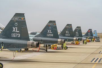 Staarten van U.S. Air Force Northrop T-38 Talons.