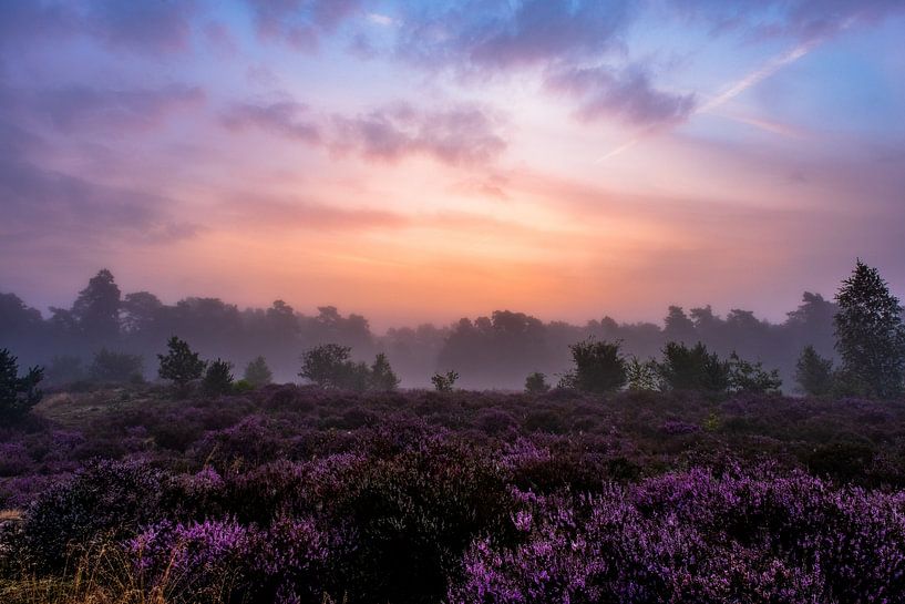 The magic moors by Tvurk Photography