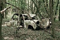 Auto in het bos