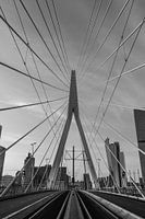 Erasmus Bridge