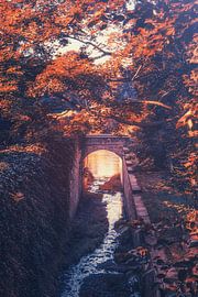Das Schloss Pillnitz aus dem 18. Jahrhundert. Blick auf die Elbe von Jakob Baranowski - Photography - Video - Photoshop