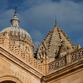 Mooie oude daken in Salamanca van Jan Maur