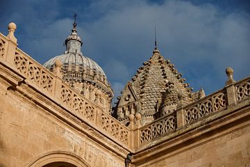 Mooie oude daken in Salamanca van Jan Maur