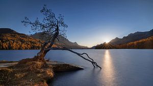 Sunset at the Silsersee