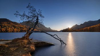 Sonnenuntergang am Silsersee
