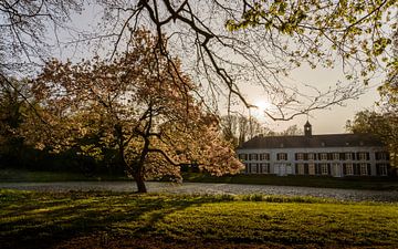 Landgoed Genbroek (2017) van Ronald Smeets Photography