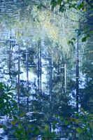 Bäume Landschaft reflektiert