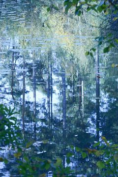 Paysage d'arbres reflété sur Lucia Leemans