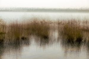 Verweven natuur