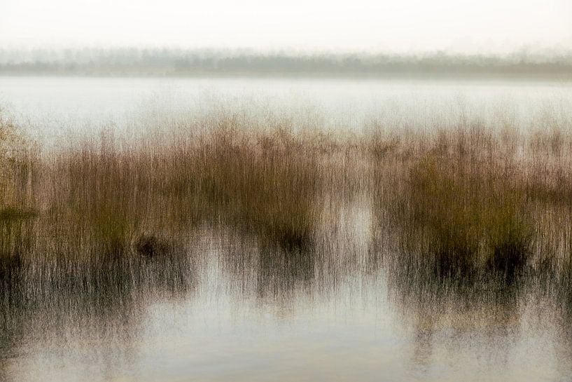 Nature imbriquée par Nicole Schmidt
