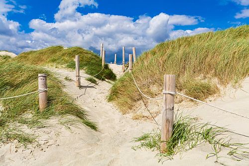 Pad door de duinen naar de zee in West Wittering - Engeland