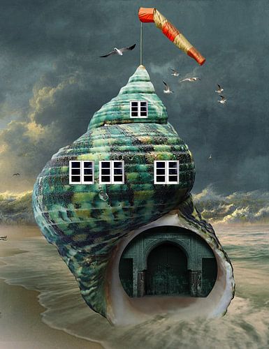 Snail shell - H. Fischer