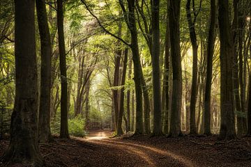 Speuilder / Sprielderbos van Jos Erkamp