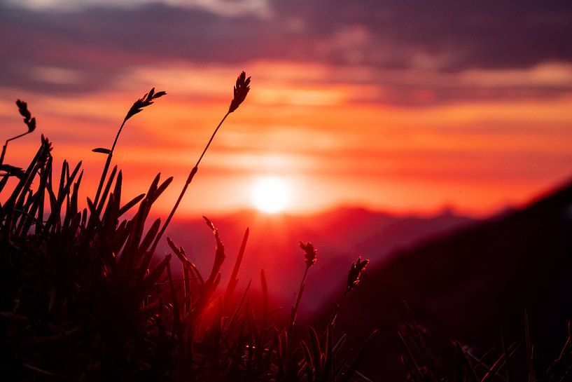 Sunrise in the Alps by Leo Schindzielorz