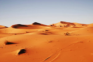 Sahara-Wüste