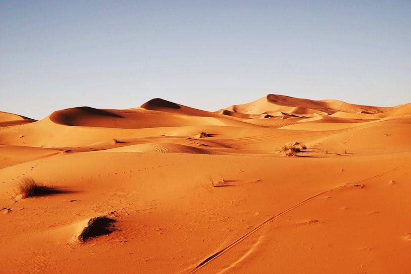Sahara desert by Walljar