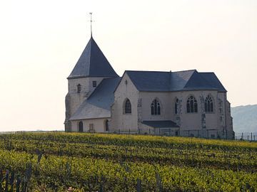 Kerkje tussen de wijnvelden in de Champangestreek van Judith van Wijk