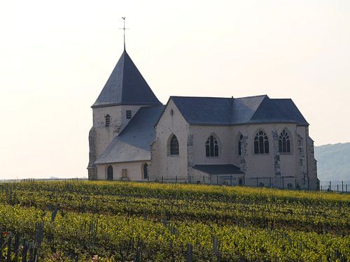 Église parmi les vignobles de la région de Champagne