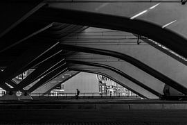 Eenzame reiziger von Kristof Mentens