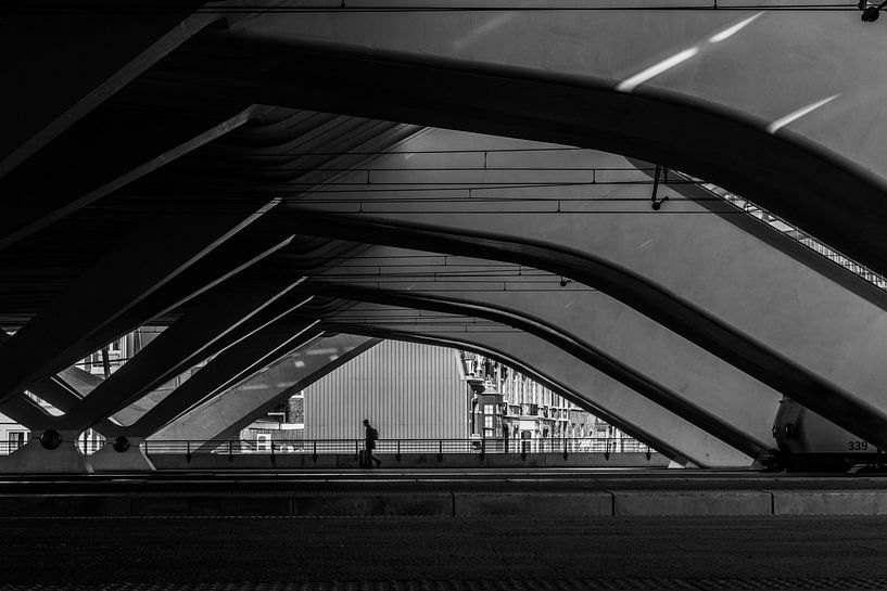Eenzame reiziger par Kristof Mentens