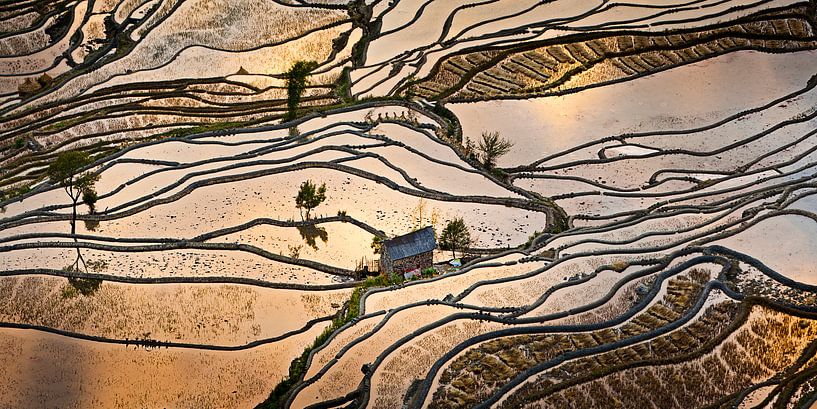 Rijstvelden in het zuiden van China van Chris Stenger