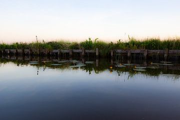 Bank mit Reflektionen von Wasserblumen von Marieke_van_Tienhoven