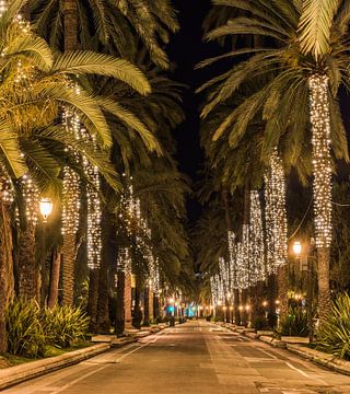 Palma de Mallorca, beleuchtete Straße mit Palmen zur Weihnachtszeit von Alex Winter