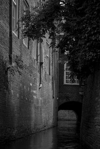 Promenade en bateau sur la rivière Binnendieze à Den Bosch