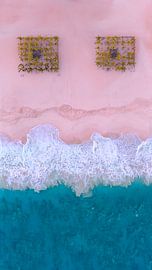 Lächeln von Sérgio Domingues Photography