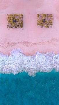 Lächeln von Sérgio Domingues Photography