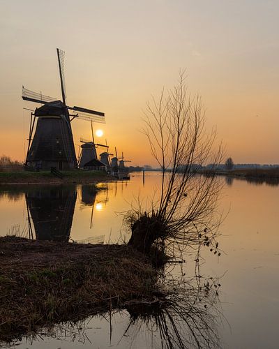 Zonsopkomst molens bij Werelderfgoed Kinderdijk met  Saharastof