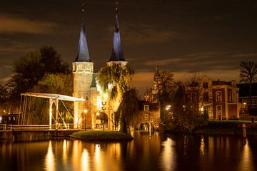 Das Tor von Delft von Olga Drop