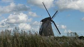 WIndmolens van Kinderdijk van Gijs van Veldhuizen