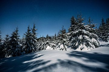 Sterrenhemel met maanlicht in een bos met winterlandschap van Leo Schindzielorz