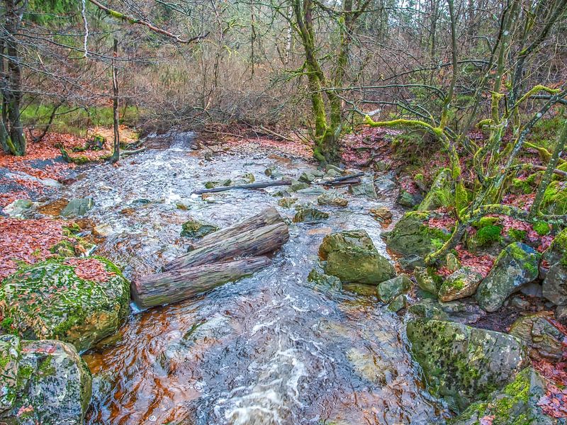 Flowing river between rocks and logs by Nature Life Ambience