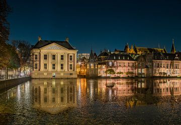 Mauritshuis Den Haag aan de Hofvijver van Karen de Geus