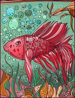 Fighting fish