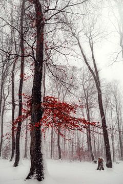 Winters tafereel in bos met rood gebladerte van Dirk Wüstenhagen