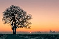 eine typisch holländische Polderlandschaft im Winter mit einem Sonnenaufgang von eric van der eijk Miniaturansicht